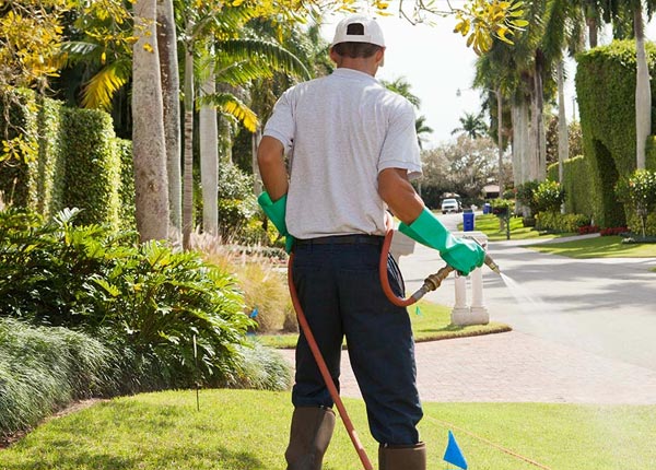 About Gaylesville AL Pest Control